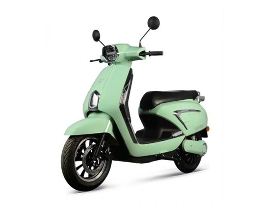 Female two-wheeled electric vehicle